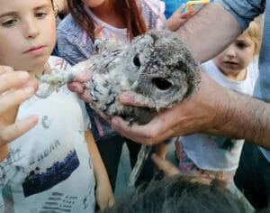 Haurrek adi jarraitzen dituzte hegazti basatien inguruko azalpenak