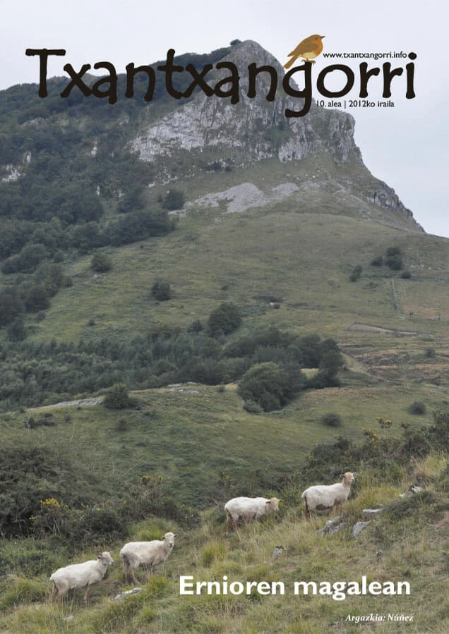 Txantxangorri 10. alea | Txantxangorri ejemplar 10