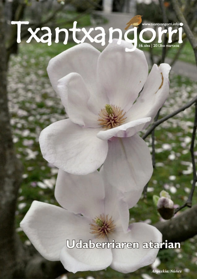 txantxangorri-aldizkaria-16