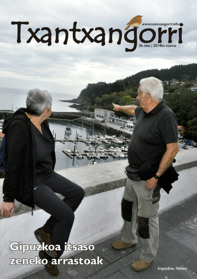 Txantxangorri 36. alea | Txantxangorri ejemplar 36