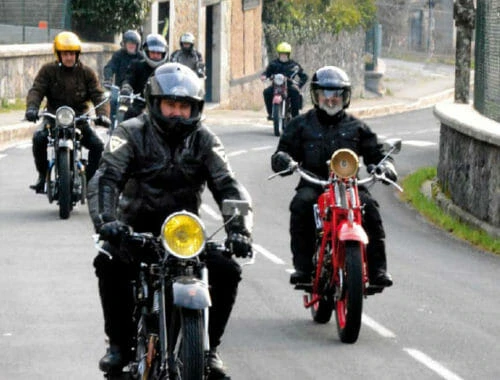 Txantxangorri 65. alea | Txantxangorri ejemplar 65