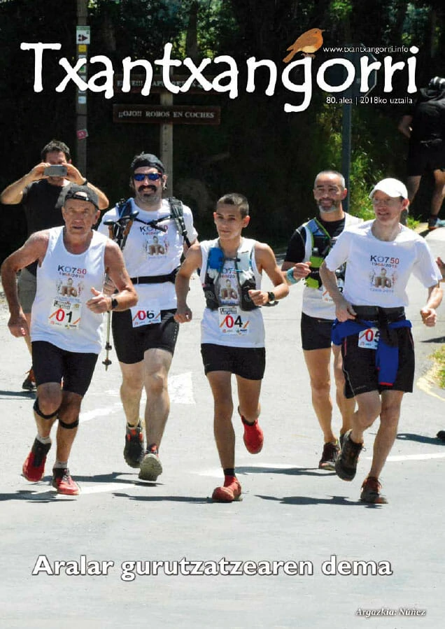 Txantxangorri 80. alea | Txantxangorri ejemplar 80