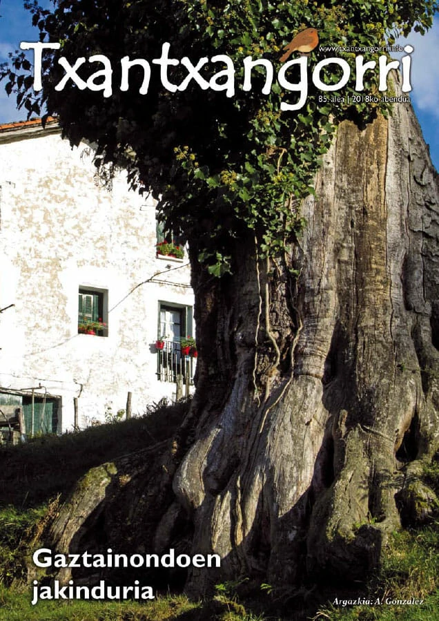 txantxangorri-aldizkaria-85