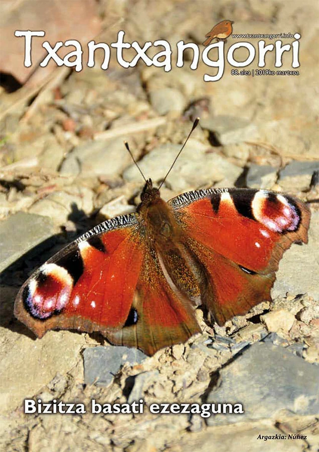 txantxangorri aldizkaria 88 Txantxangorri Aldizkaria