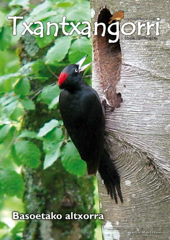 txantxangorri-aldizkaria-89