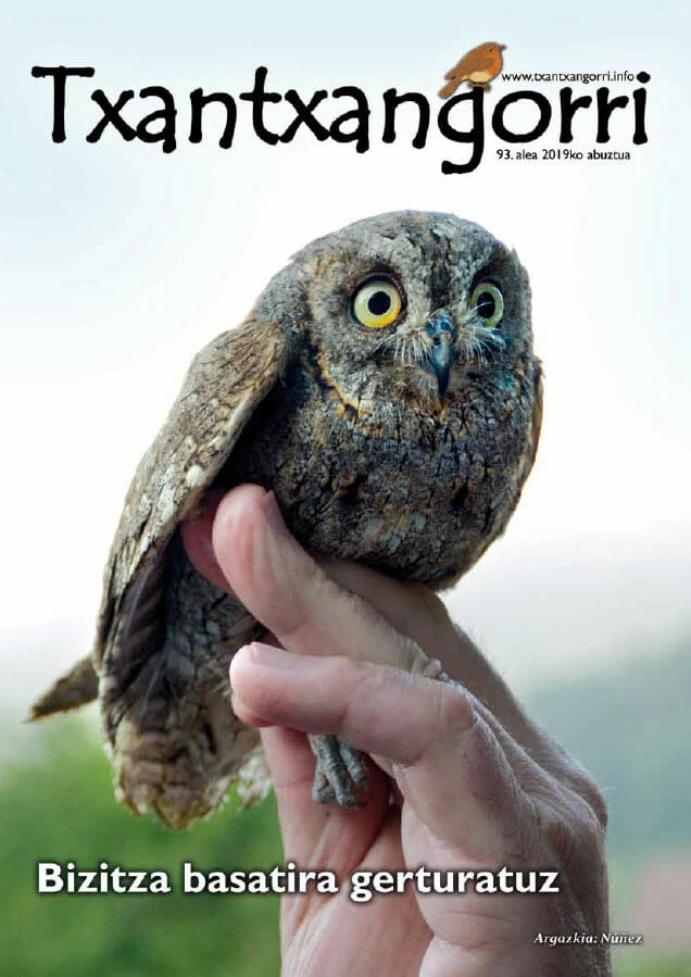 Txantxangorri 93. alea | Txantxangorri ejemplar 93