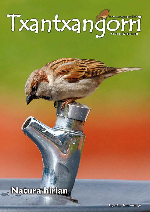 txantxangorri-aldizkaria-94