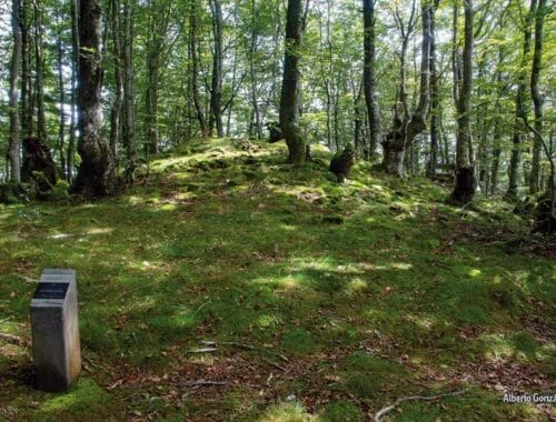 Dolmen de Añi