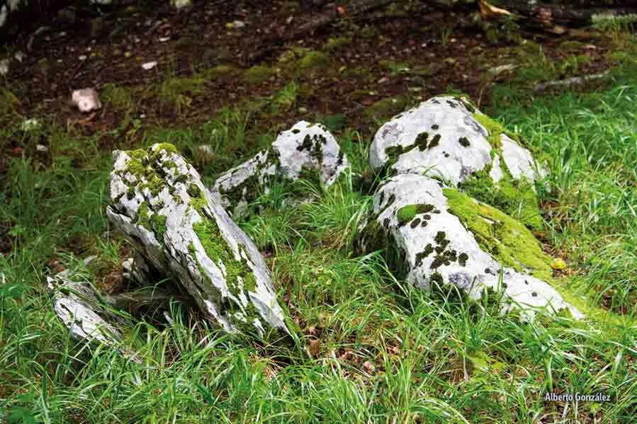 Dolmen de Otsabio