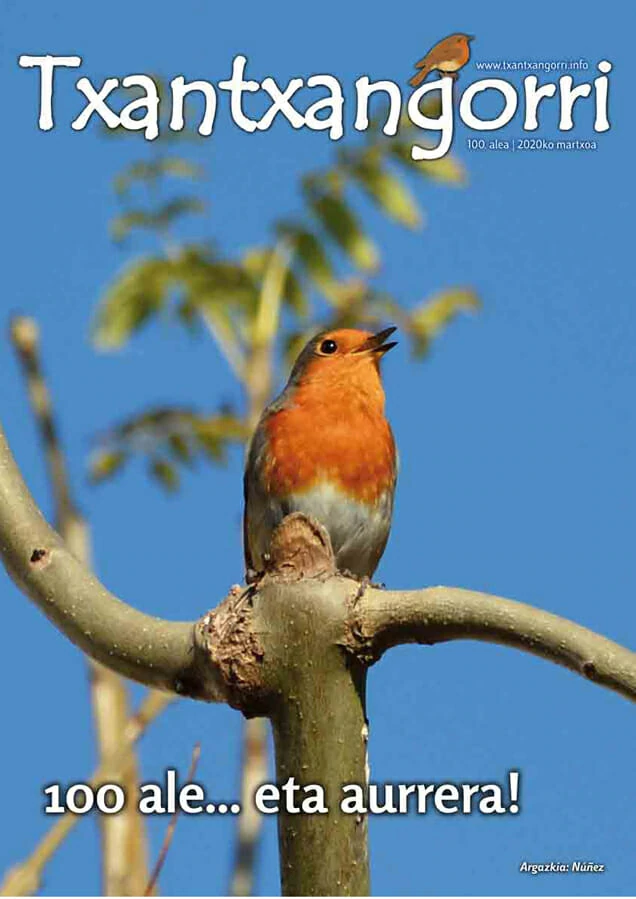 Txantxangorri 100. alea | Txantxangorri ejemplar 100