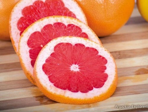 Grapefruit