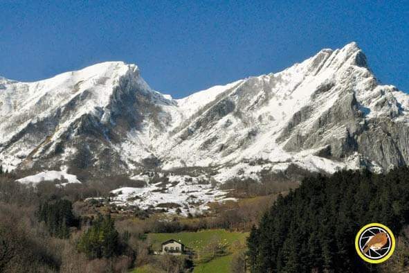 Argazki Erronka 2019 otsaila Balerdi