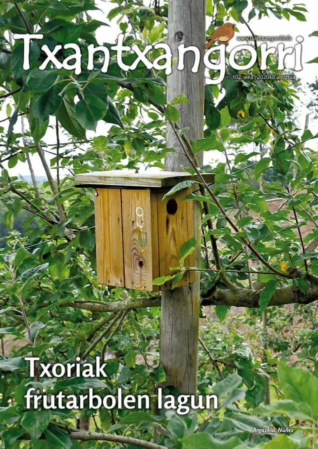 txantxangorri-aldizkaria-102