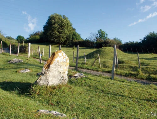 Monolito y Tumulo, historia de Tolosa