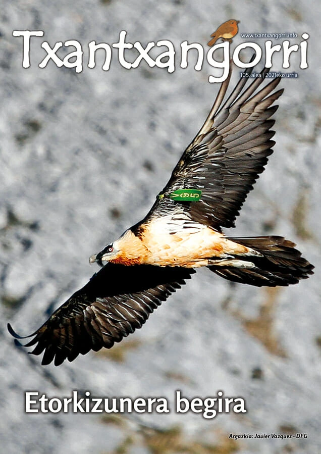 Txantxangorri aldizkaria 105 portada