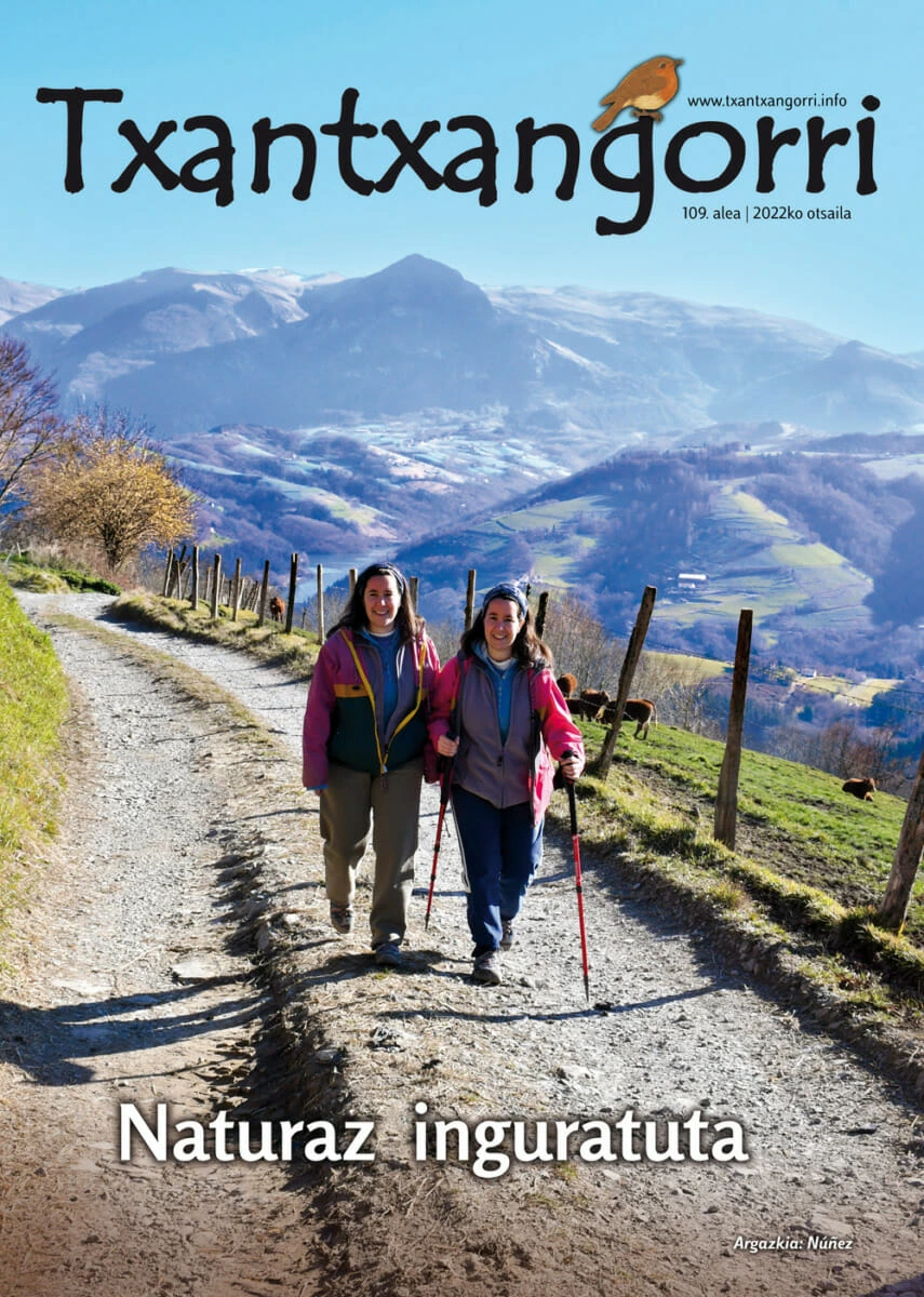 Txantxangorri aldizkaria 109