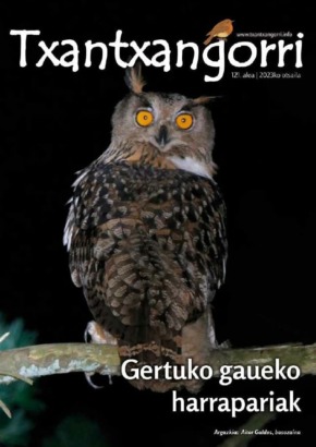 Txantxangorri 121
