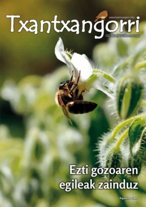 Txantxangorri 122 portada