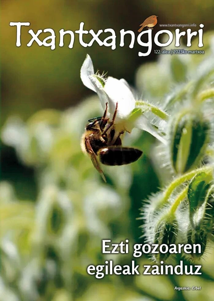 Txantxangorri 122 portada