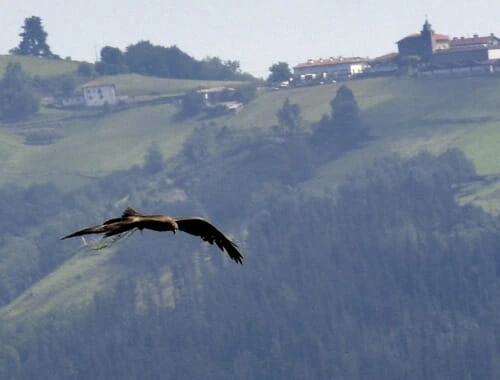 Recorrido de Lazkaomendi a Ataun. Foto Núñez