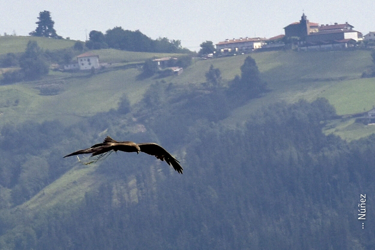 Recorrido de Lazkaomendi a Ataun. Foto Núñez