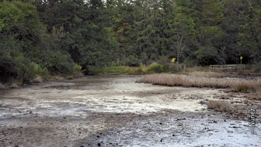 Salinas de Aldatz y Arruitz
