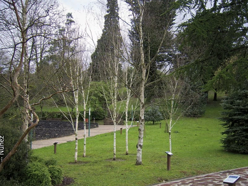 Biodibertsitatea | Biodiversidad