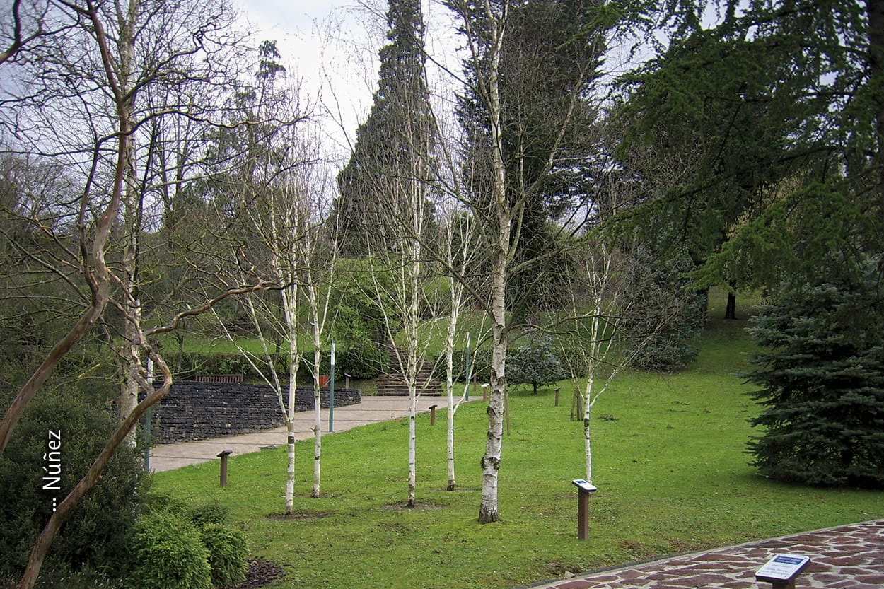 Biodiversidad urbana. Núñez