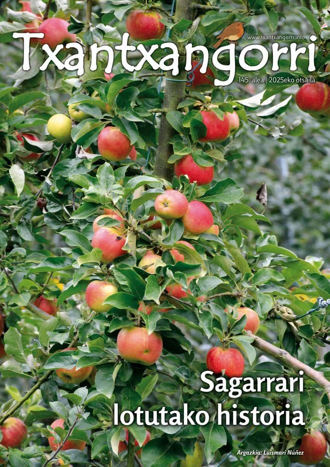 Txantxangorri 145 aleko portada | Portada de Txantxangorri ejemplar 145