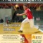 Txantxangorri 147 alea | Portada Txantxangorri ejemplar 147