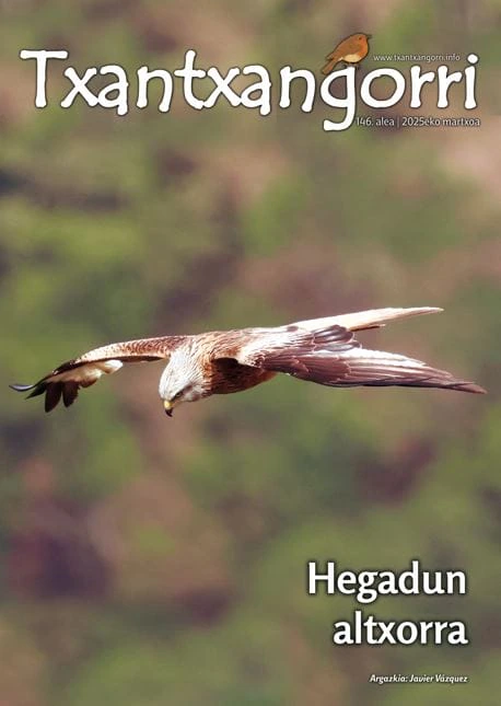 Txantxangorri 146. alea | Portada de Txantxangorri ejemplar 146