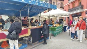20250423 122933 Txantxangorri Aldizkaria