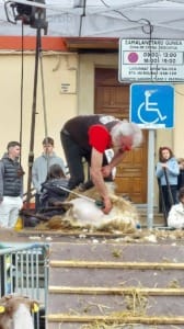 20250423 124211 Txantxangorri Aldizkaria