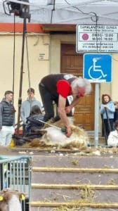 20250423 124211 Txantxangorri Aldizkaria