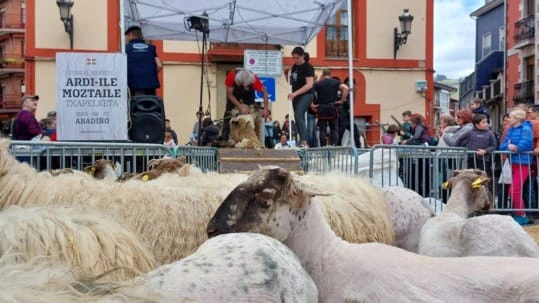 Ordiziako artzain eguna