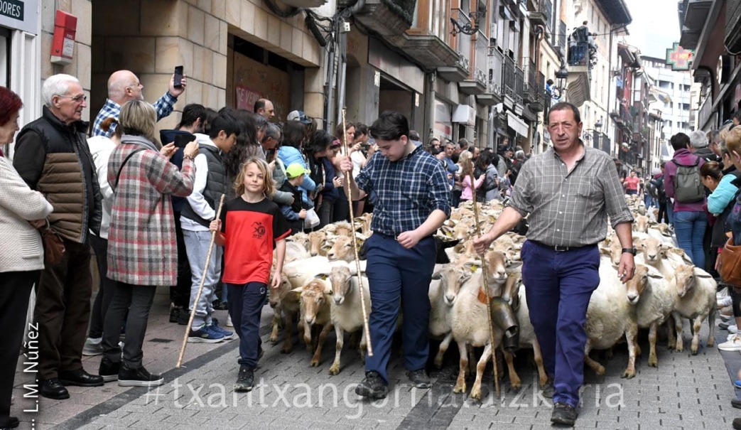 Ordiziako Artzain eguna. Argazkia: L.M. Núñez