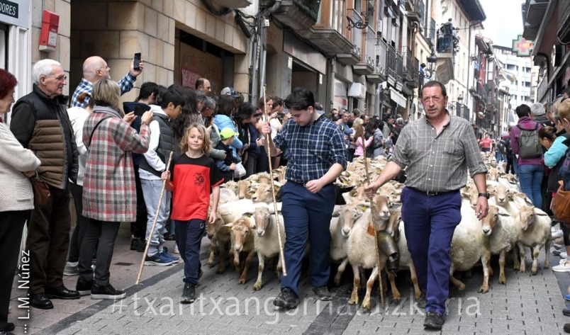 Ordiziako Artzain eguna. Argazkia: L.M. Núñez
