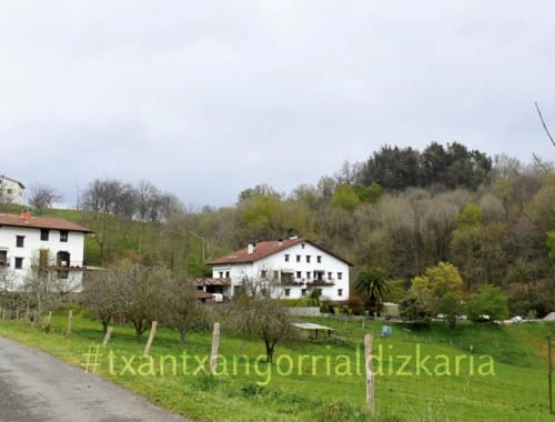 Zizurkildik Urkamendira. Argazkia: L.M. Núñez