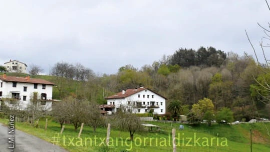 Zizurkildik Urkamendira. Argazkia: L.M. Núñez