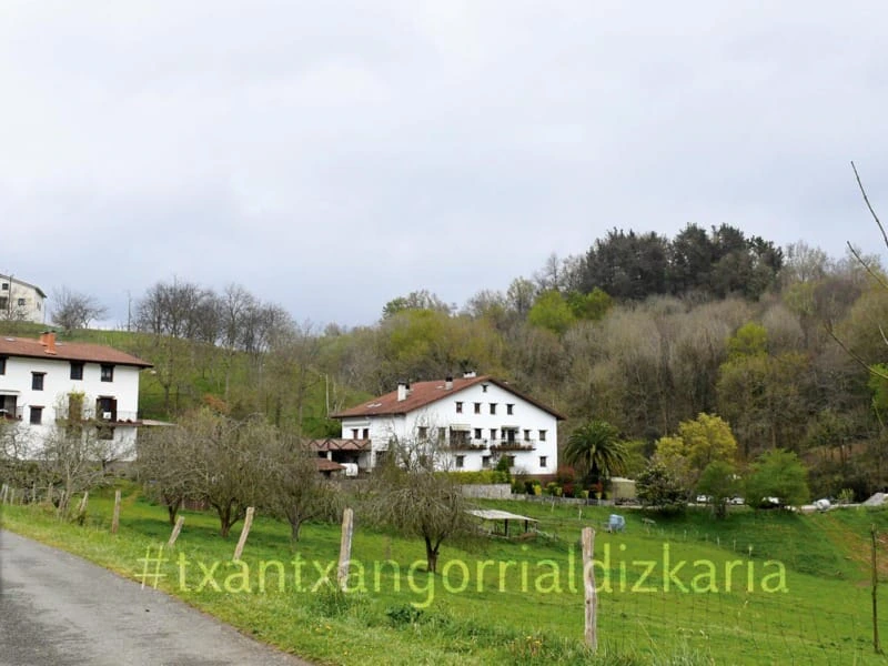 Zizurkildik Urkamendira. Argazkia: L.M. Núñez