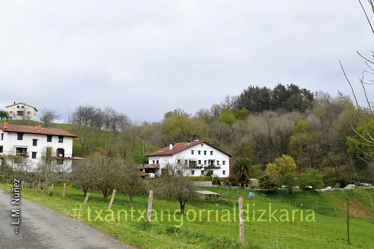 Zizurkildik Urkamendira. Argazkia: L.M. Núñez