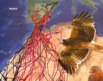 Hegaztien migrazioa. SEO Birdlife