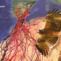 Hegaztien migrazioa. SEO Birdlife