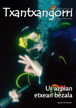 Txantxangorri 154. alea | Txantxangorri ejemplar 154