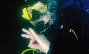 Txantxangorri 154. alea | Txantxangorri ejemplar 154