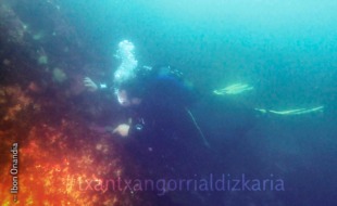 Ibon Onandia durate una de las inmersiones. 