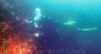 Ibon Onandia durate una de las inmersiones. 