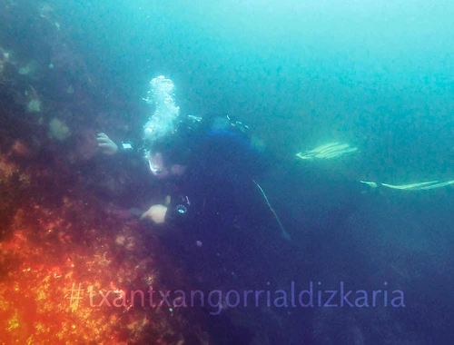 Ibon Onandia durate una de las inmersiones.