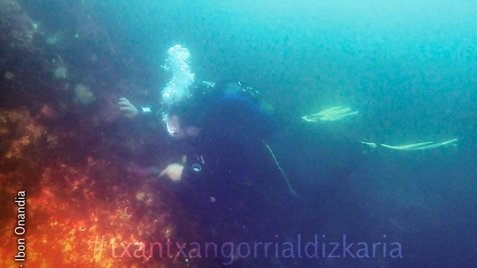 Ibon Onandia: «Quiero demostrar que se pueden hacer muchas cosas, también con discapacidad» Ibon Onandia durate una de las inmersiones.