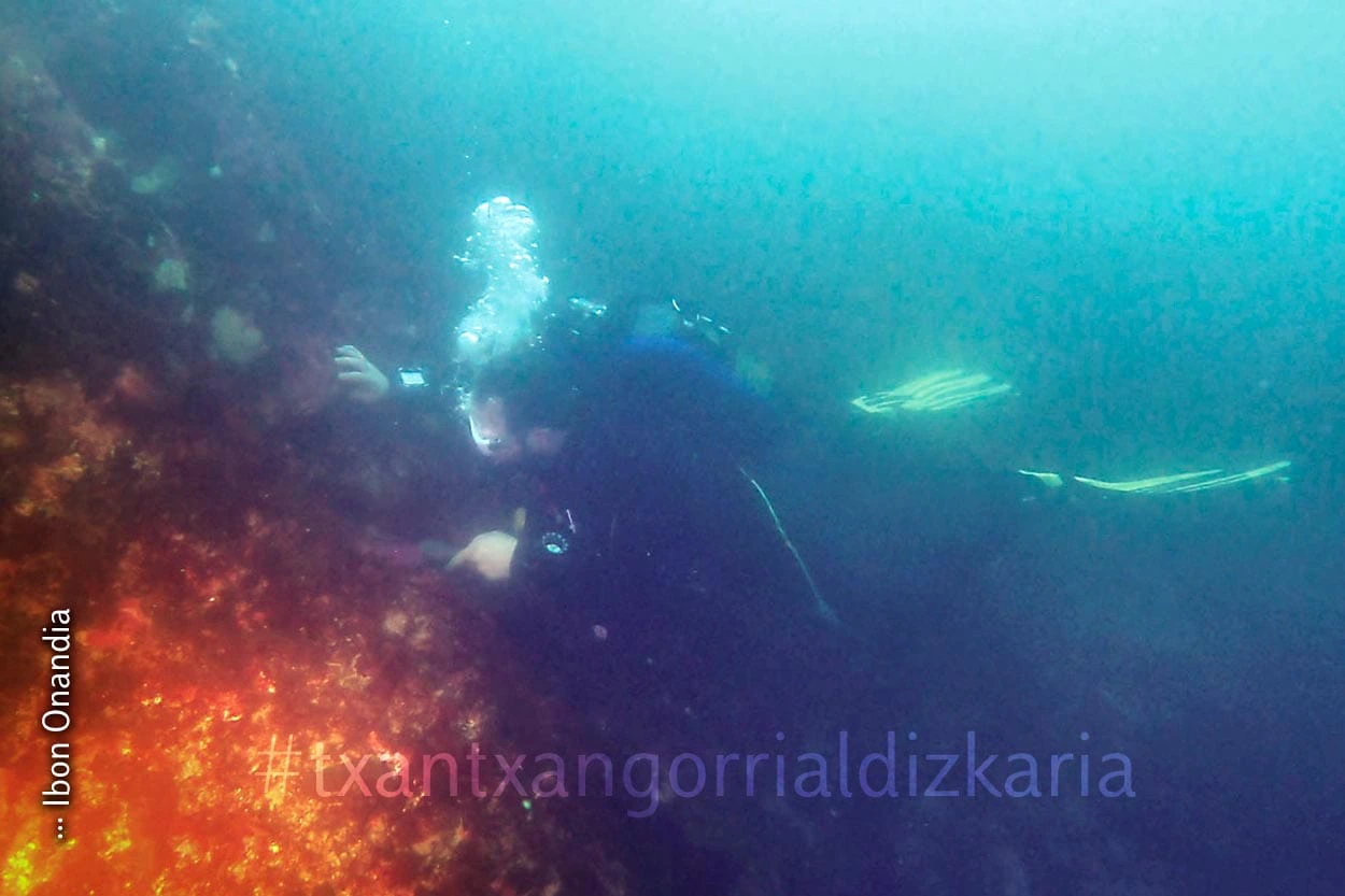 Ibon Onandia durate una de las inmersiones.